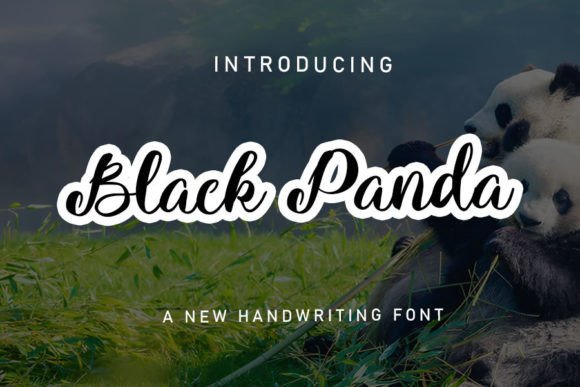 Black Panda Font Review: A Relaxed Script for Modern Brands